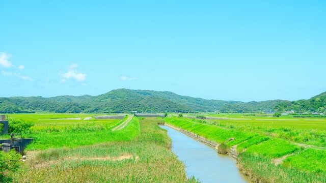 農村の風景