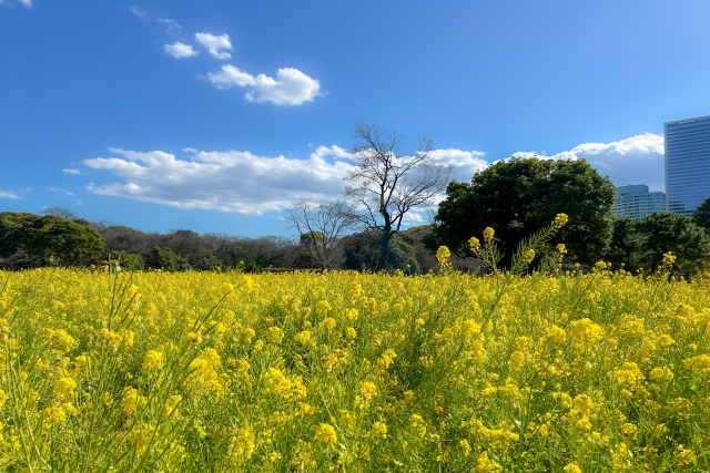 まとめ、良い光景